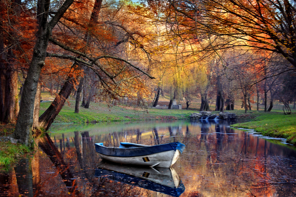 秋の川辺の風景