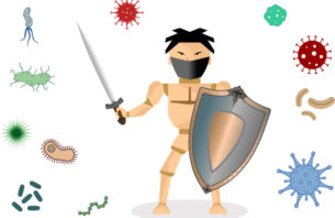 剣と盾でウイルスや細菌の攻撃を撃退する